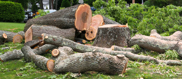 Best Emergency Tree Removal  in Silverdale, WA